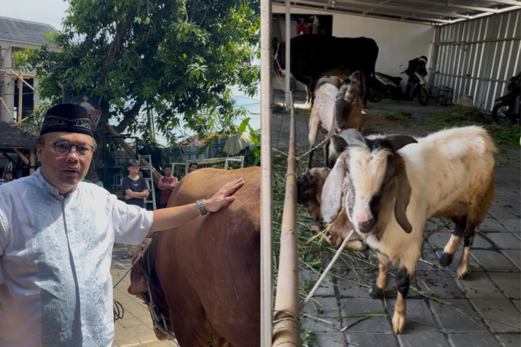 Nirzam Fahmi, CEO PT Satu Kosong Tujuh memantau prosesi pemotongan kurban di Bekasi